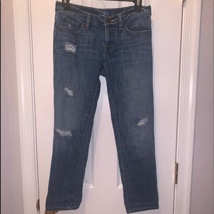 Ann Taylor LOFT Jeans